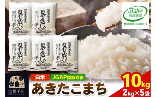 yHcszyāzߘa7NY HcY ܂ 10kg(2kg×5) yJGAPF؁zyHcʍ͔|_YF؁z