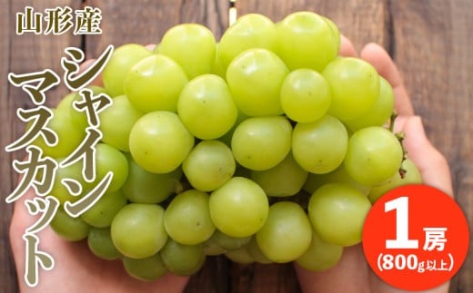 yR`R`szՂՂ̑[VC}XJbg 1[(800gȏ) yߘa8NYs\zFU20-466  ʕ t[c R` R` R`s 2026NY