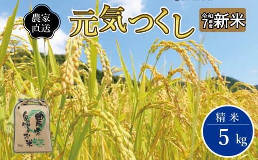 yszsߘa7NY tsY uh āu C v 5kg |      CX uh ͂ 