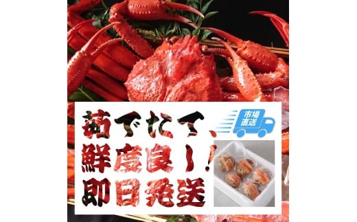 y挧khz757.y{Cz2025N11  tɁyuh^Otzi900g×3t)