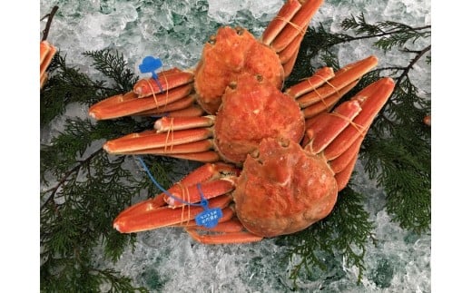 yɌLszԁEʌ ^Ot ËRY tKj 1t / 䥂 700g`800g / VN t tI YCKj 킢  Jj I {C ① CN  O Ɍ L