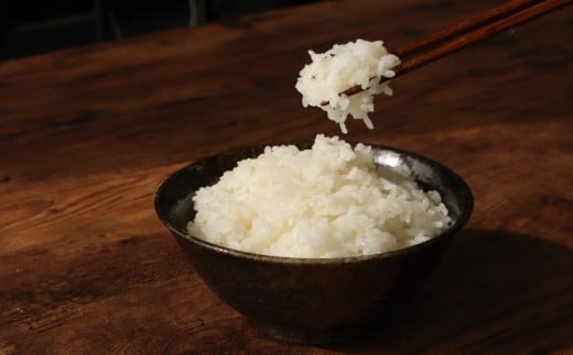 ytszy ߘa7NY z V   Iׂ 5kg / 10kg  ŒZ7cƓȓ    V 7NY     R CX  ͂  Ԃ ꓙ Xs