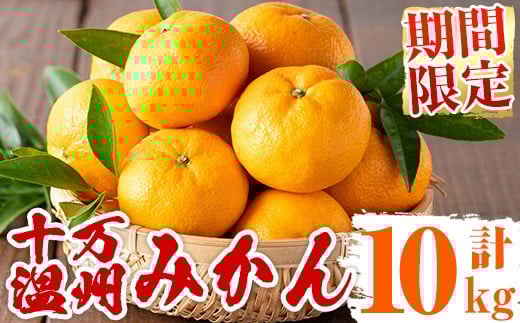 yܒzs498 s\tI2025N12{菇\B݂(v10kgEM`LTCY)  Y BY t[c k ݂  yc_z