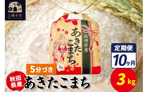 yHcszs10t܂ 3kg×1܁y5Âzߘa7NY HcY ܂C