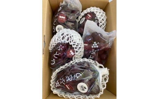 ya̎RLc쒬zys\zLcO؂Ɖ̂܁`W[V[I 킠 iӂ݂̂j2kg(4?6[)