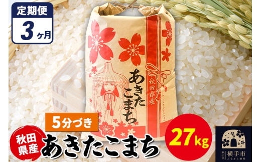 yHcszs3t܂ 27kg×1܁y5Âzߘa7NY HcY ܂C