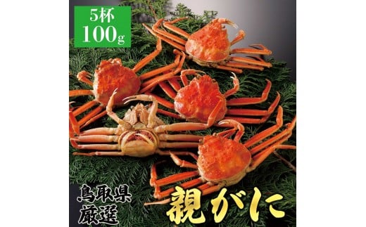 y挧khz1065.y2025N11z挧Y  e pyZRKjzi䥁j100g 5t