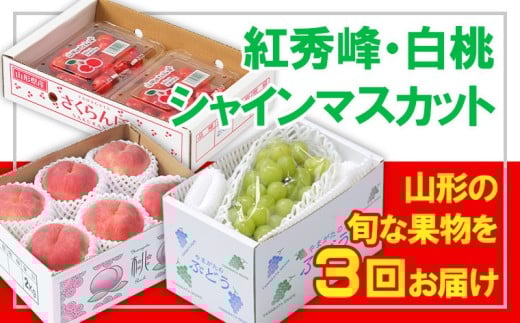 yR`R`szy3zt[cR`gGEEVC}XJbg yߘa8NYs\zFS25-664  ʕ t[c R` R` R`s 2026NY