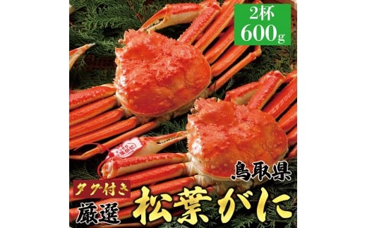 y挧khz767.y{Cz2025N11  tɁyuh^Otz  600g×2t