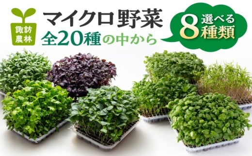 y򕌌sz}CN i킪Iׂ 8_Zbg s / zK_ [TDO006]