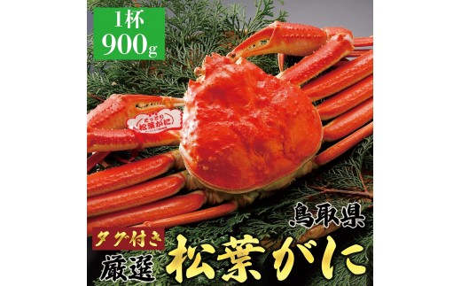 y挧khz759.y{Cz2025N11  tɁyuh^Otzi900g×1t)