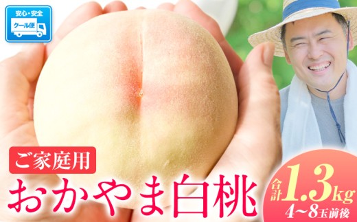 yRszy2026N s\JnIz  `Ƃ낯Â ɖȂ!!` 󂠂 R̓ 1.3kg 4~8ʑO RYs2026N6{-9{oׁtR s   ͂Ȃ