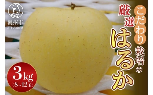 y茧BszyX^[t@[z ͔| ͂邩 Ii 3kg(8`12) Ԍ ʌ  ь t[c Yn p 蕨 yY 茧 BsY [AY002]