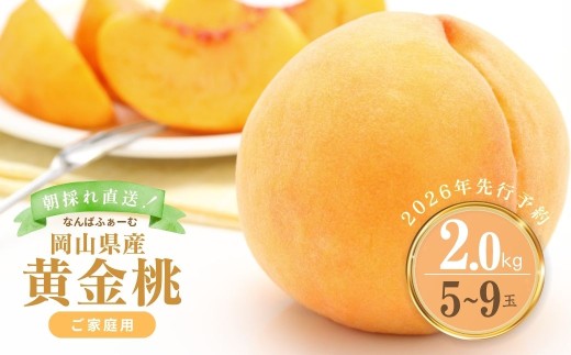 yR쒬zy2026Ns\zmȂ΂ӂ[ށnRY  2.0kgi5?9ʁjmƒpn