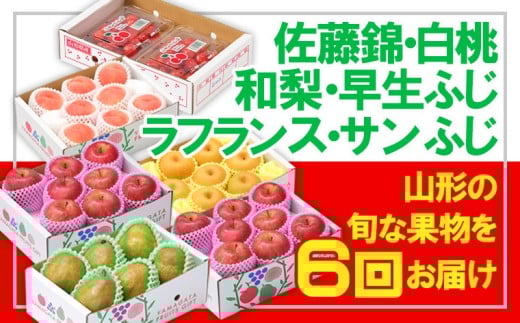 yR`R`szy6zt[cR`сEEaEӂEtE yߘa8NYs\zFS25-667  ʕ t[c R` R` R`s 2026NY