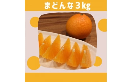 yQlszQlY@܂ǂ3kgE94-2y1682686z