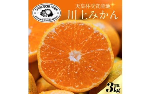 yQlszVct܎Yn݂ 3kgʁQlsV_IA70-121y1683965z