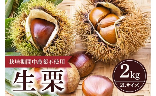 y錧Ήszy 202UN s\ z I 2kg ʂ܂鉀 I  N 2L TCY 2L _sgp Eܕsgp Y aI ÌI ʕ t[c  H { 9 10  Yn _