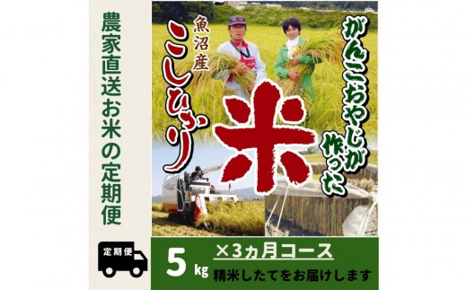 yV싛szyߘaVNYVāzRց@񂱂₶싛YRVqJ5kg