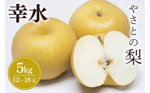 y錧Ήszy 2026N s\ z }gR[₳Ƃ̗ ( K ) 5kg ( 1Q ` 18 )  Ȃ iV ʕ t[c i K 2L L TCY 5L Yn _ƒ Y Y  Â