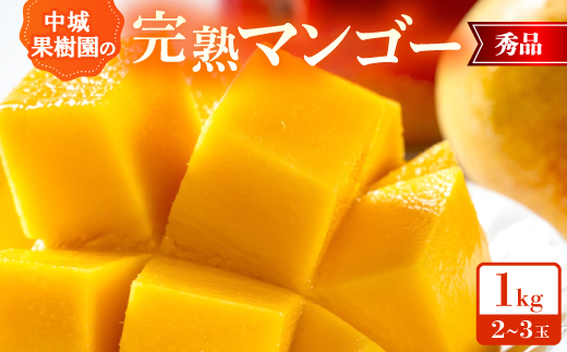 yꌧ鑺z2026N7珇Eϔʎ̊n}S[ Gi1.0kg(2`3)y1673411z