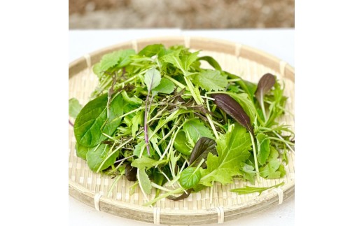 yRRszRY VN xr[[t10~bNX v400g