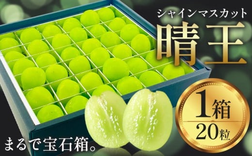 yRszy2026Ns\zVC}XJbg  20 VC }XJbgs2026N9{-10{oח\tTʁ@(RsX(xmH L)) 