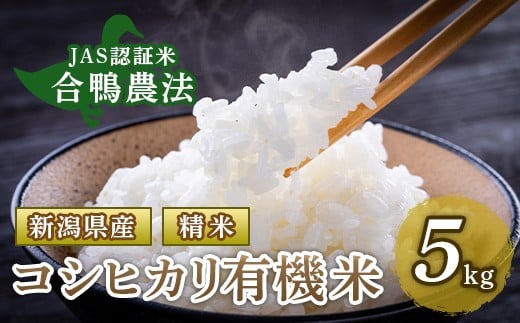 yVĒzVYRVqJL@āi_@j5kgyklt@[}[Yz