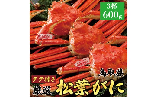 y挧khz766.y{Cz2025N11  tɁyuh^Otz600g×3t