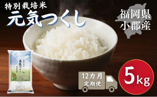 ySsz 12 ʍ͔|  SY C 5kg   12