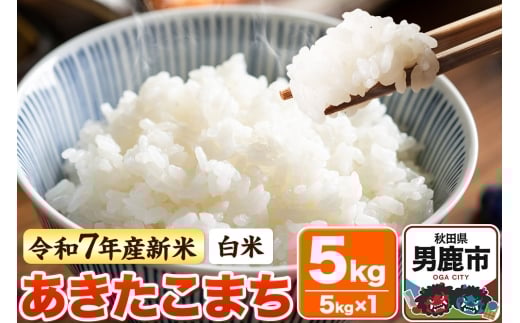 yHcjszߘa7NY Vāyāz܂ 5kg