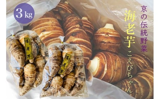 ys{Tsz̓` CV 3kg т񁃋sET ق܂farm b ш     炩 ϕ     󂠂 TCY 2025N1