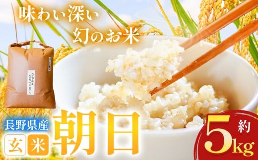 y쌧쑺z 5kg R͔| V yߘa7NxYz  b  R   R͔| V  Ñ 쌧 쑺 MB