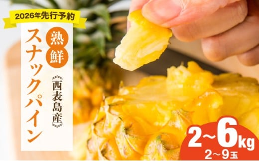 yꌧ|xzIׂeʁyłĐHׂyznNXibNpC2kgi2`3ʁj/6kgi5`9ʁj2026N s\@@\