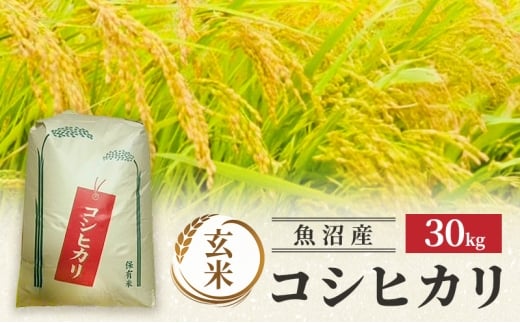 yVsz[5762-1333]yߘa7NYzYRVqJ()30kg  R Ђ uh  s