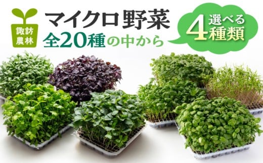 y򕌌sz}CN i킪Iׂ 4_Zbg s / zK_ [TDO005]