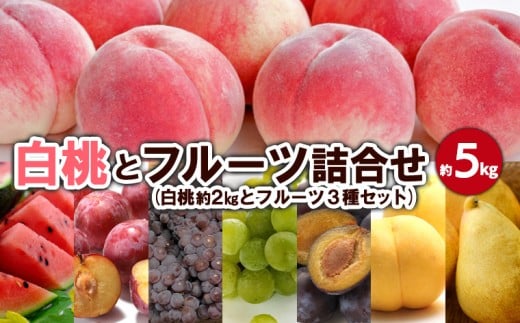 yR`R`szƃt[cl 5kg yߘa8NYs\zFS23-801  ʕ t[c R` R` R`s 2026NY