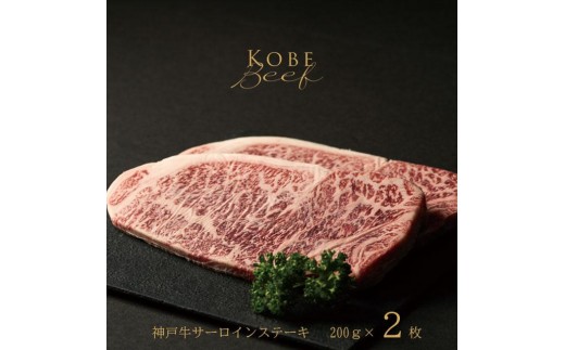 yɌz_ˋ T[CXe[L 200g×2 [1271]