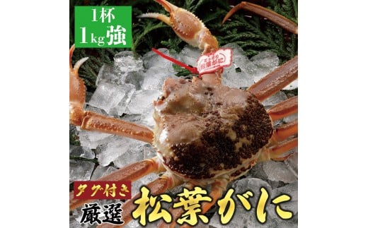 y挧khz756.yz2025N11  tɁiȂ܁jyuh^Otz1kg̑傫TCY H׉ 1t