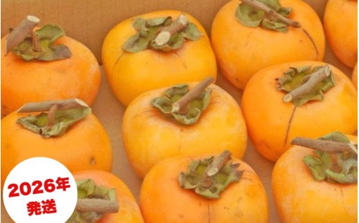 ya̎R炬z݂邵`p˖a` T̓NbvtRt 14.5`15kg@60`90y2026N10{`11{돇zyART12z