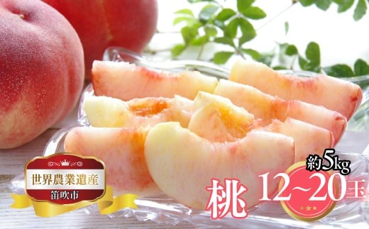 yRJszy2026Ns\zRJsY@@5@12ʁ`20ʁ@223-021-26y