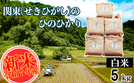 yF{֒zyߘa7NYz֓(Ђ)̂Ђ̂Ђ  5kg ^ pbN F{ ֒Y Pꌴ qmqJ Yn 