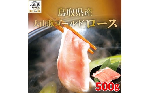 y挧RzSFM-06 挧YR؃S[h[X500g