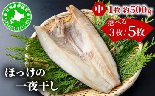 ykCɒBszIׂeʁق̈銱()3/5