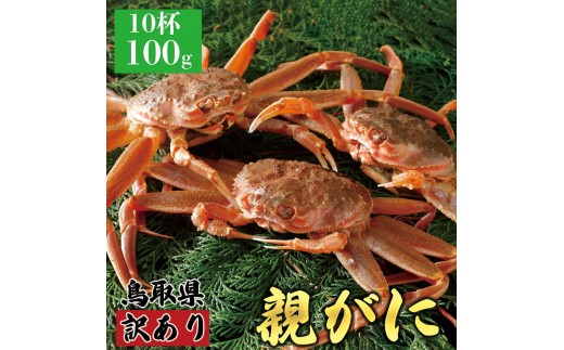 y挧khz1073.y2025N11z挧Y  e pyZRKjziȂ܁jy󂠂z100g 10t