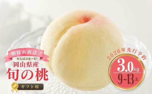 yR쒬zʌ聄mȂ΂ӂ[ށnRY {̓ 3.0kgi9`13ʁj[Mtgp]y2026Nz039-a005