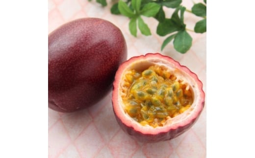 yꌧ鑺z2026N5珇EpJAȂ킪IpbVt[c1kg(8`10)y1681790z