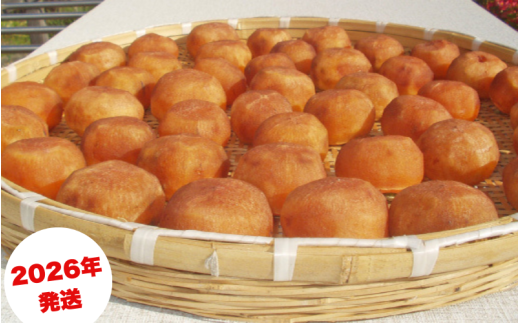 ya̎R炬z_ÂႤIƂĂÂȂ^ a`˖ ۊ`p T} 2.5`3kg (9`18)y2026N10{`11{돇zyG-art041z