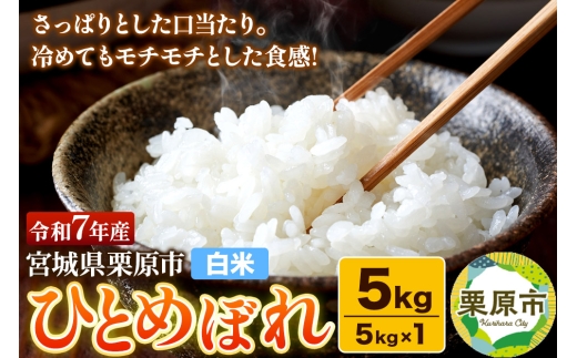 y{錧Iszyāzߘa7NY {錧IY ЂƂ߂ڂ 5kgi5kg×1܁jς `` ɂ ٓ