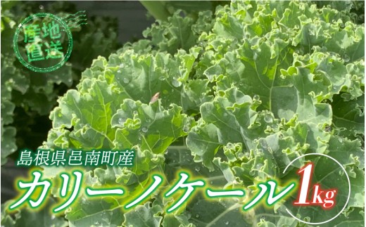 yW쒬z J[mP[1kg@6肨͂